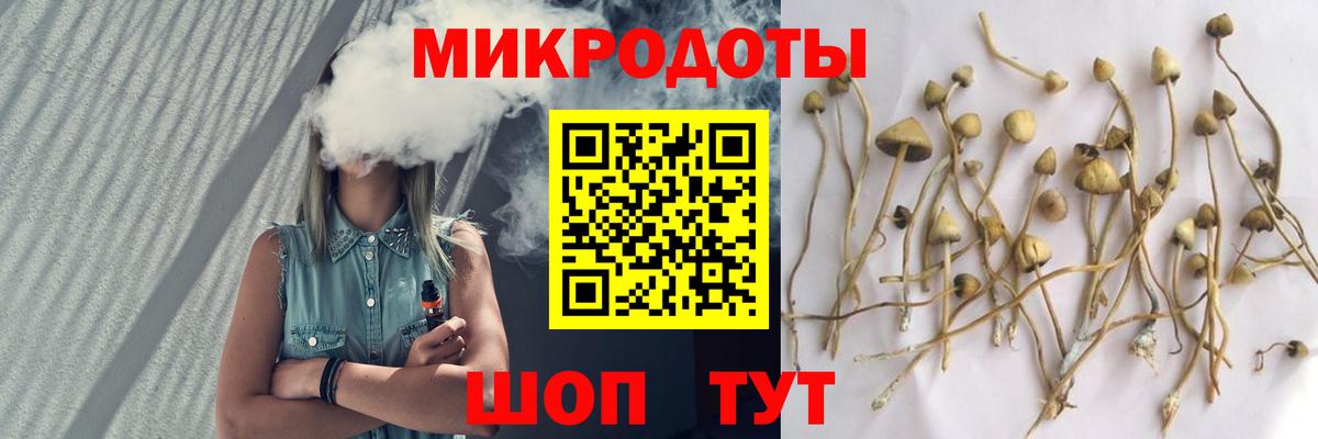 Псилоцибиновые грибы Magic Shrooms Избербаш